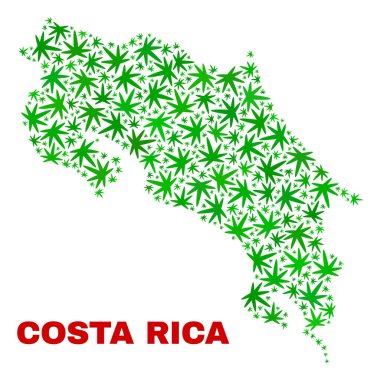 Esrar kolaj Kosta Rika harita bırakır