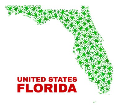 Marihuana yaprağı kolaj Florida State harita