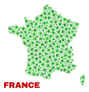 Kenevir kolaj Fransa: yaprakları