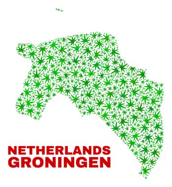 Kenevir yaprak kolaj Groningen il Haritası