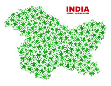 Esrar yaprakları mozaik Jammu ve Keşmir devlet harita