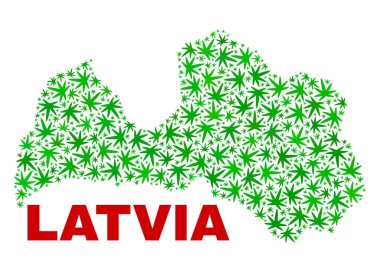 Kenevir yaprak kolaj Letonya Haritası