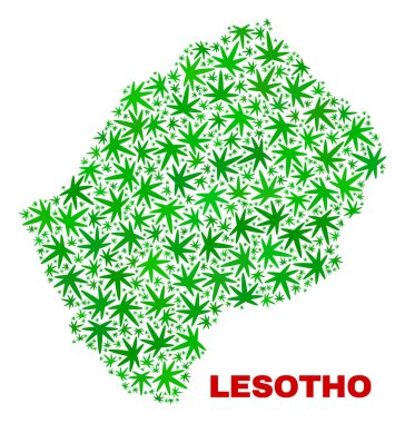 Marihuana yaprağı kolaj Lesoto Haritası