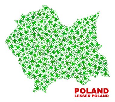 Marihuana yaprağı mozaik daha az Polonya Voyvodalığı harita