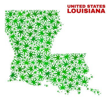 Kenevir yaprak kolaj Louisiana devlet harita