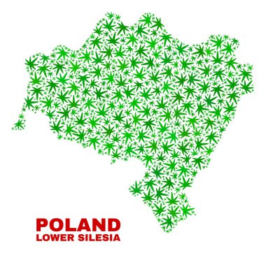 Kenevir kolaj alt Silesian Voivodeship harita bırakır