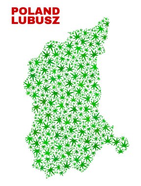 Esrar mozaik Lubusz Voivodeship harita bırakır