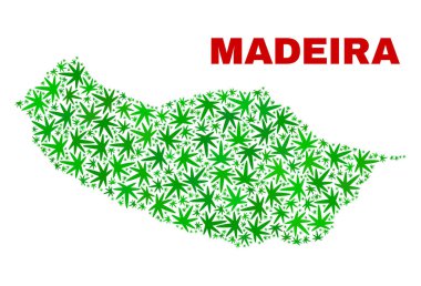 Esrar yaprakları kolaj Madeira harita