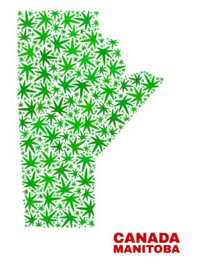 Kenevir yaprak kolaj Manitoba eyaleti harita