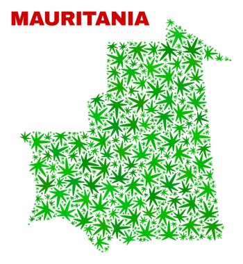 Esrar yaprakları kolaj Moritanya Haritası