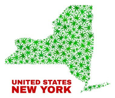 Kenevir yaprak mozaik New York eyalet Haritası