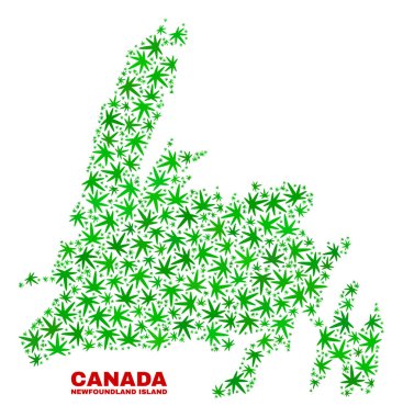 Marihuana yaprağı mozaik Newfoundland Adası Haritası
