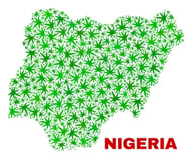 Kenevir yaprak mozaik Nijerya Haritası