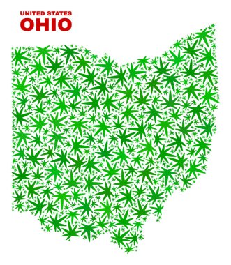 Kenevir yaprak mozaik Ohio State harita