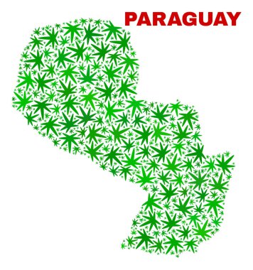 Esrar yaprakları mozaik Paraguay Haritası