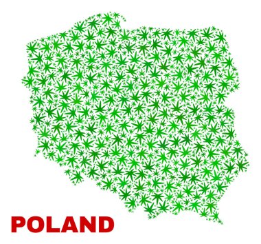 Esrar yaprakları kolaj Polonya harita