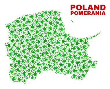 Kenevir yaprak mozaik Pomeranya Voyvodalığı harita