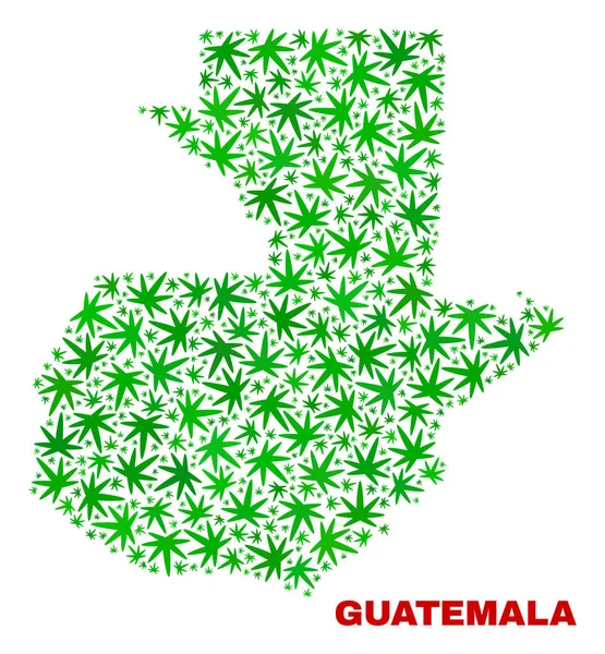 Mapa de Cannabis Leaves Collage Guatemala —  Vetores de Stock