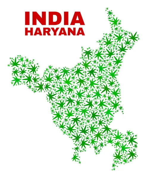 Cannabis Leaves Mosaic Haryana State Map — Stock Vector