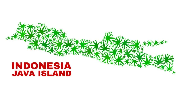 Mapa das Folhas de Maconha Colagem Java Island —  Vetores de Stock