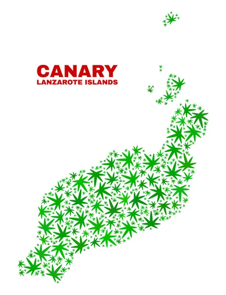 Collage Feuilles de Chanvre Îles Lanzarote Carte — Image vectorielle