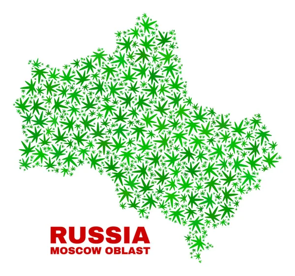 Канны оставляют коллаж на карте Московской области — стоковый вектор