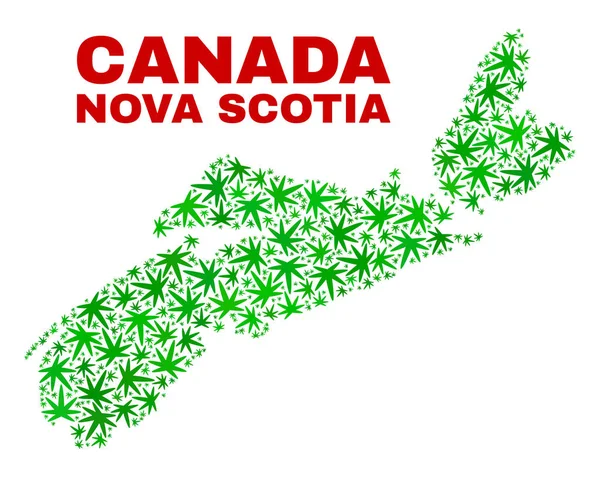 Marihuana liści mozaika Nova Scotia prowincji mapę — Wektor stockowy