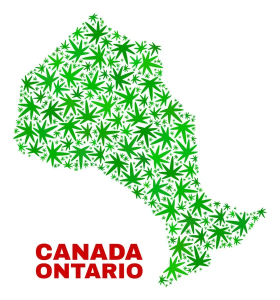 Mapa prowincji Ontario mozaika liści konopi — Wektor stockowy