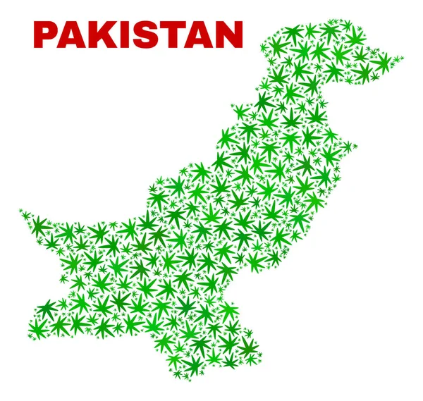 Kenevir yaprak mozaik Pakistan Haritası — Stok Vektör