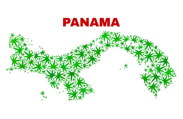 Mapa da Colagem de Folhas de Maconha Panamá —  Vetores de Stock