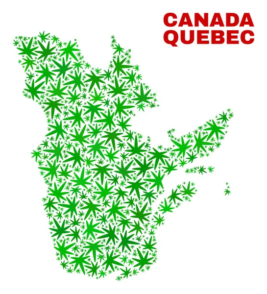 Mapa konopi liści mozaika prowincji Quebec — Wektor stockowy