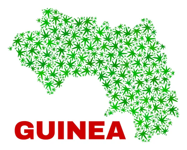 Hojas de Marihuana Collage República de Guinea Mapa — Archivo Imágenes Vectoriales