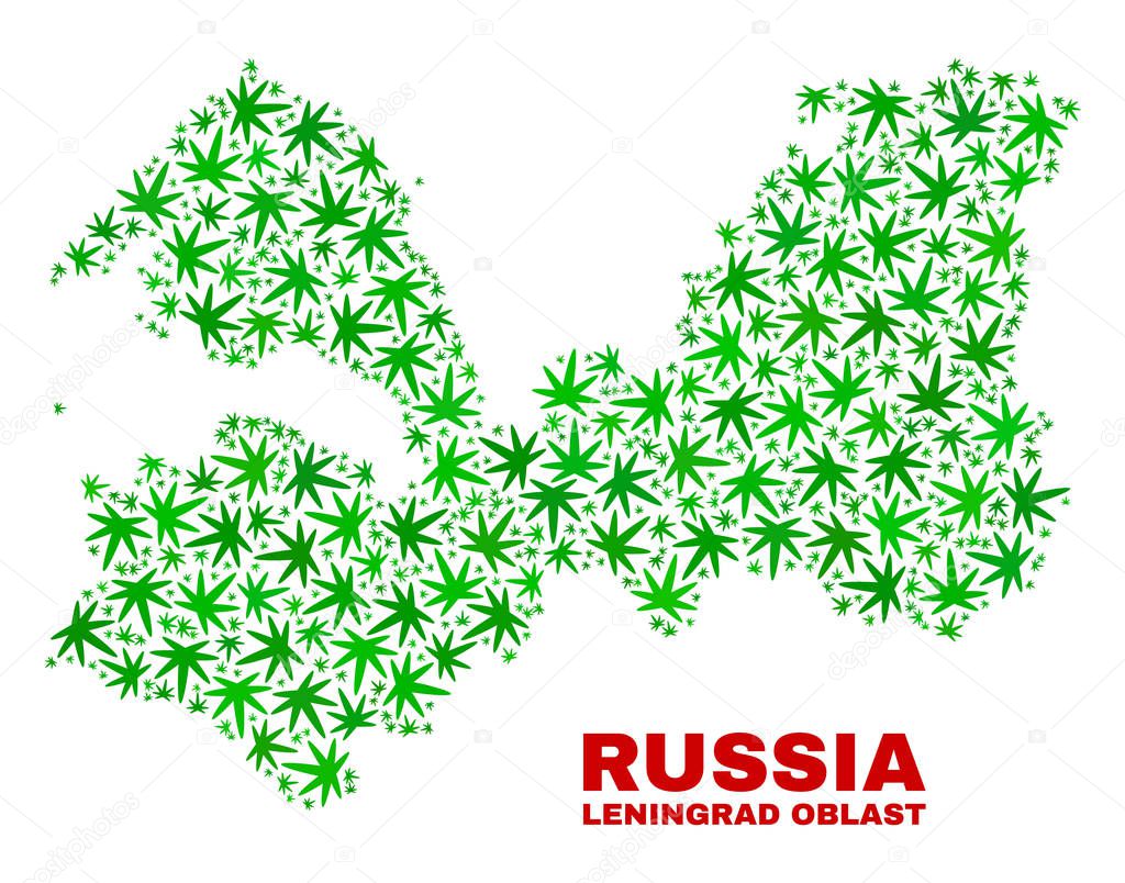 Marijuana Leaves Mosaic Leningrad Region Map