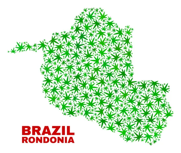 Hennep bladeren Collage Rondônia staat kaart — Stockvector