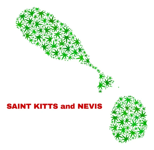 Mapa de hojas de cannabis Collage Saint Kitts y Nevis — Vector de stock