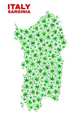 Kenevir yaprak mozaik Sardunya harita