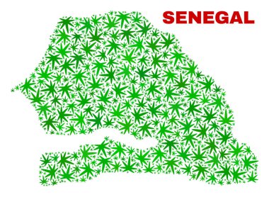 Esrar yaprakları mozaik Senegal Haritası