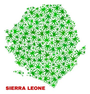 Marihuana yaprağı kolaj Sierra Leone Haritası