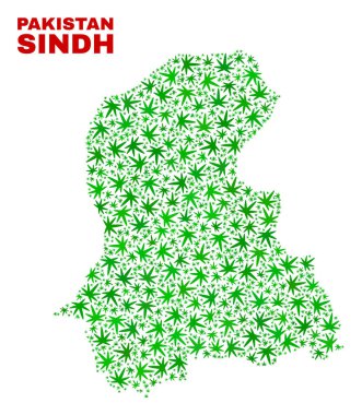 Kenevir yaprak kolaj Sindh eyaletinde harita