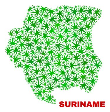 Kenevir yaprak mozaik Surinam Haritası