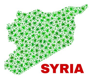 Marihuana yaprağı mozaik Suriye Haritası