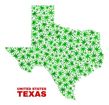 Esrar yaprakları kolaj Texas devlet harita