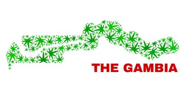 Esrar kolaj Gambiya Haritası bırakır.