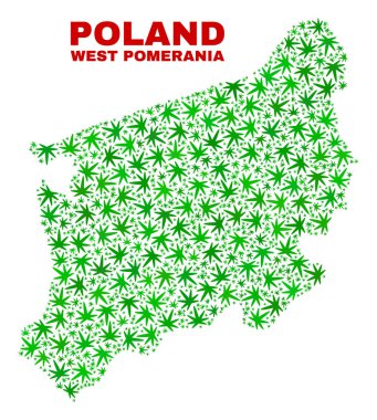 Esrar kolaj Batı Pomeranya Voyvodalığı harita bırakır