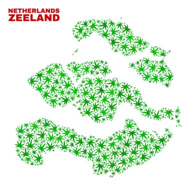 Kenevir yaprak kolaj Zeeland il Haritası