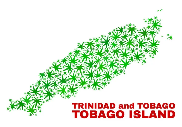 Mapa da ilha de Tobago da colagem das folhas de Cannabis —  Vetores de Stock