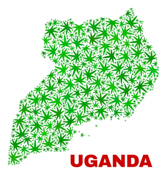 Marijuana Leaves Mosaic Uganda Map — Stock Vector