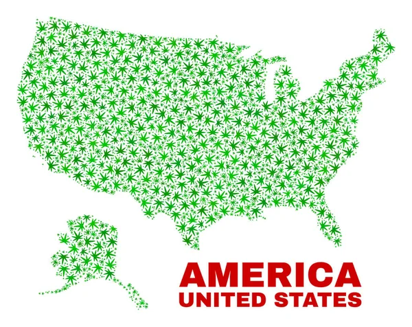 Konopi liści mozaika Usa z mapę Alaska — Wektor stockowy