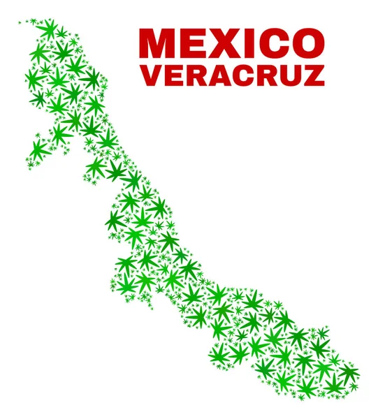 Cannabis Hojas Mosaico Veracruz Mapa del Estado — Vector de stock