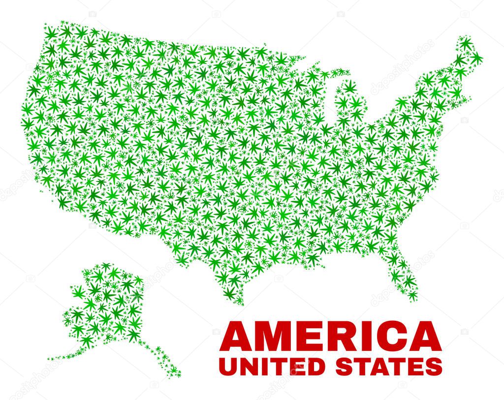 Hemp Leaves Mosaic USA with Alaska Map